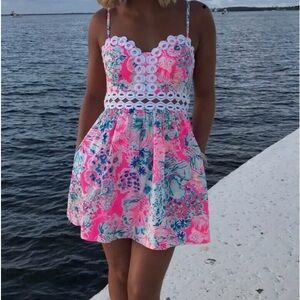 Lilly Pulitzer rika fit and flare dress in “gypsea” size 00